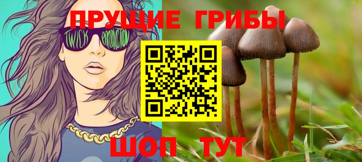 Лесозаводск  Псилоцибиновые грибы мицелий  Вход с VPN 