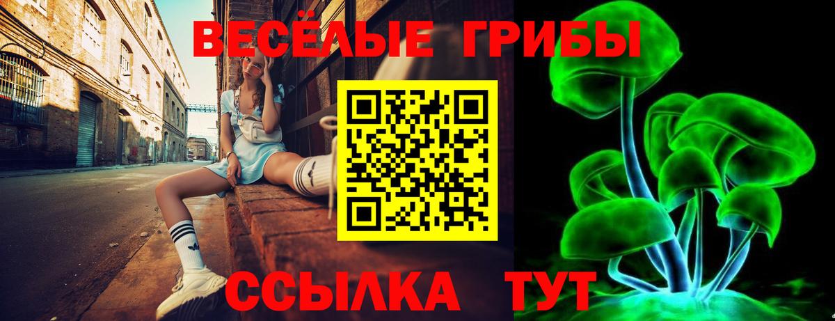 Галлюциногенные грибы GOLDEN TEACHER Лесозаводск