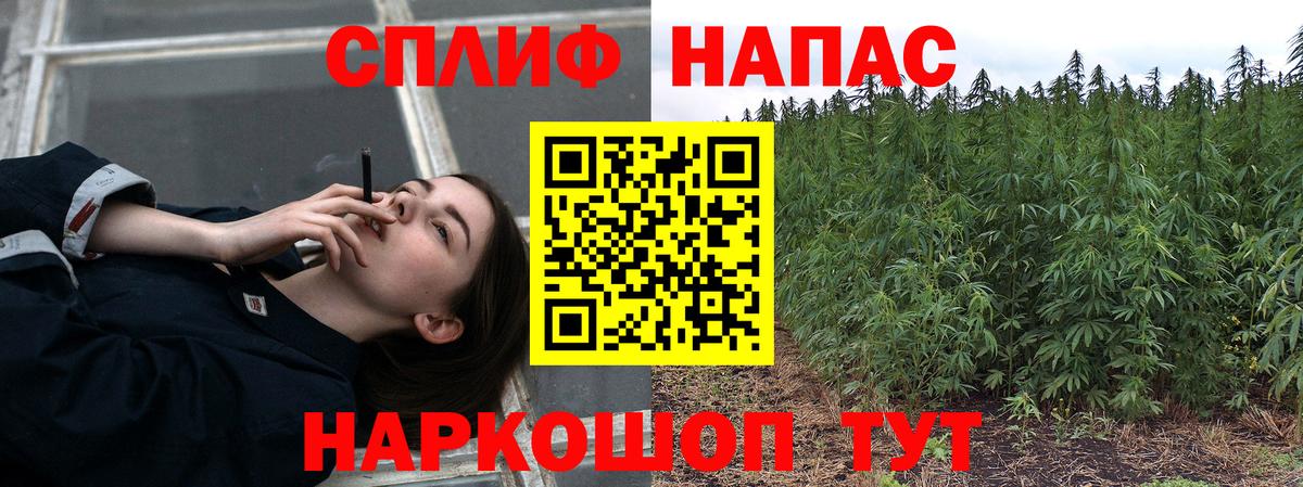 Гашиш Лесозаводск
